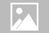 开云app-太阳新秀表现惊艳，全场观众掌声不断，品牌法律查看而且中心次数.